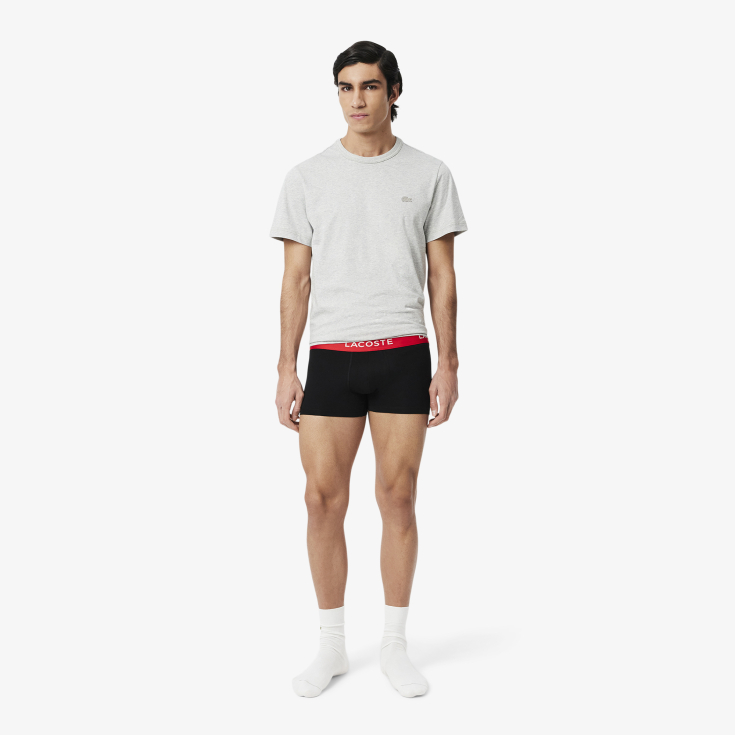 Lacoste kişi alt paltarı