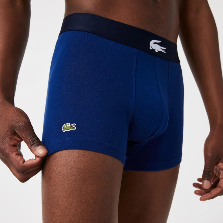 Lacoste kişi alt paltarı
