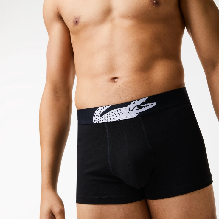 Lacoste kişi alt paltarı