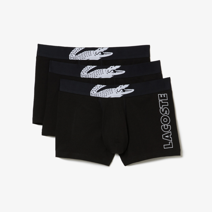 Lacoste kişi alt paltarı