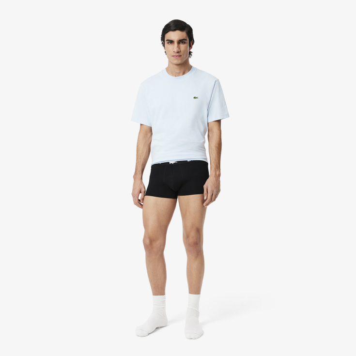 Lacoste kişi alt paltarı
