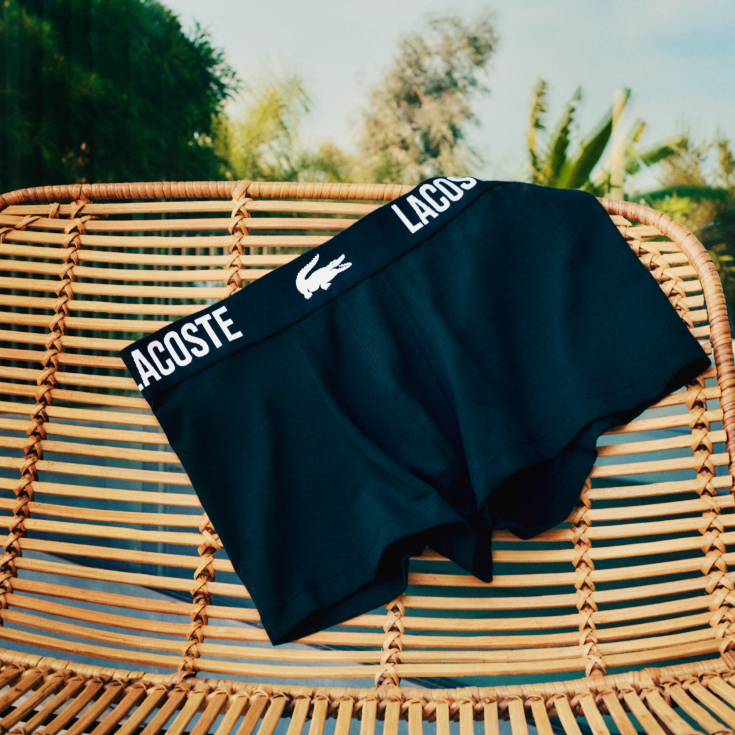 Lacoste kişi alt paltarı