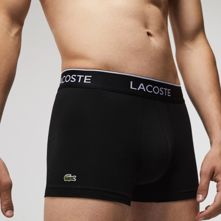 Lacoste kişi alt paltarı (3 ədəd)