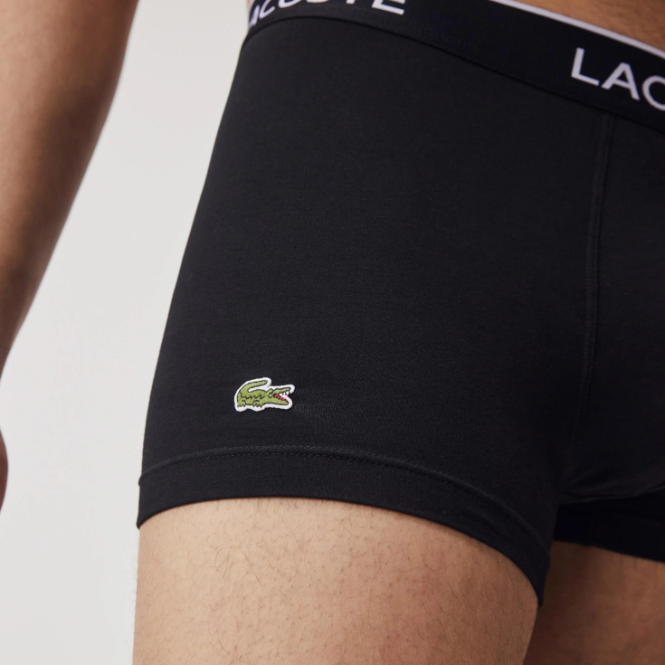 Lacoste kişi alt paltarı (3 ədəd)