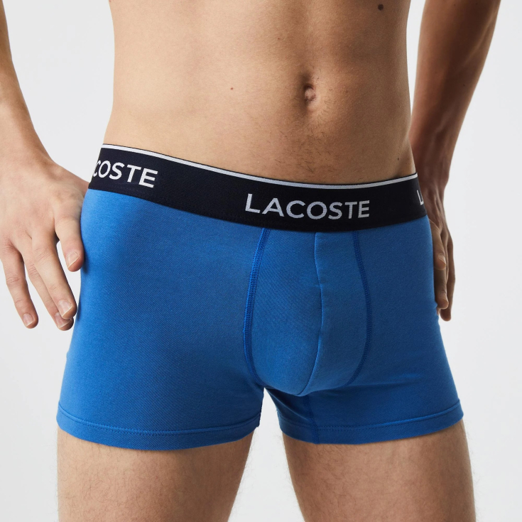 Lacoste kişi alt paltarı (3 ədəd)