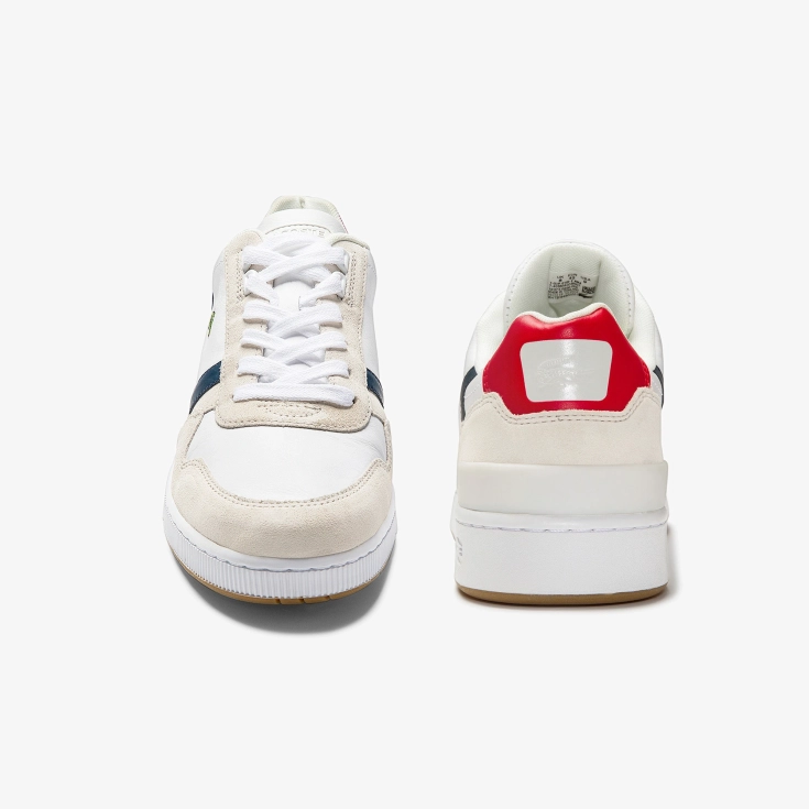 Lacoste kişi kedləri