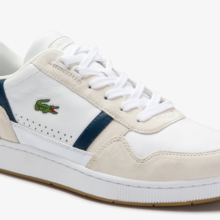 Lacoste kişi kedləri