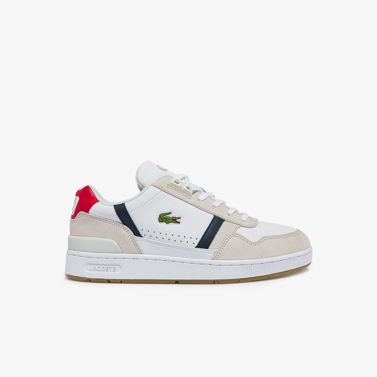 Lacoste kişi kedləri