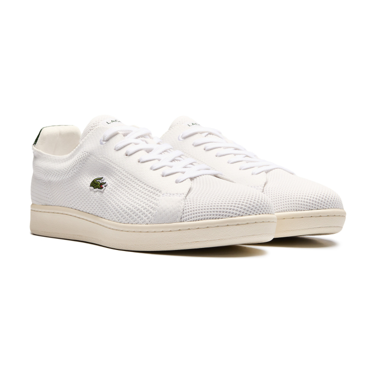 Lacoste kişi kedləri