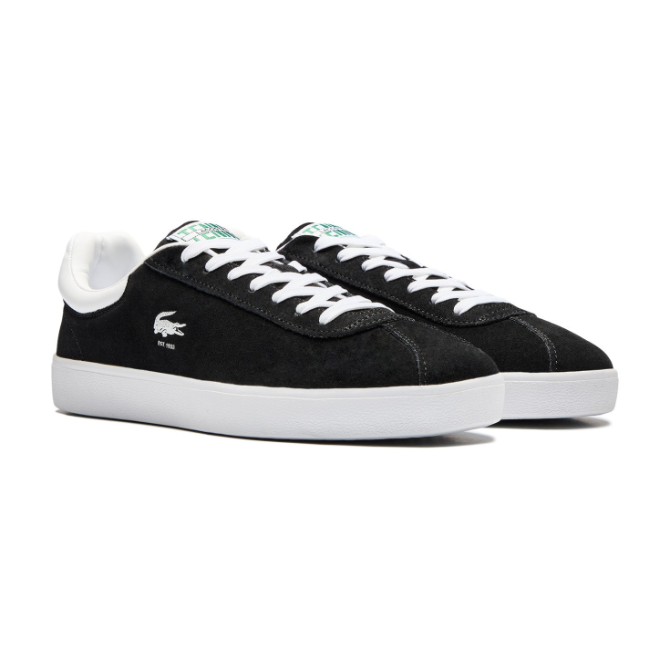 Lacoste kişi kedləri