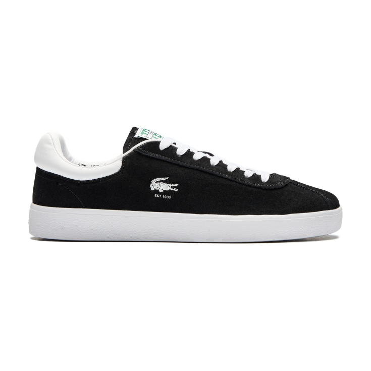 Lacoste kişi kedləri