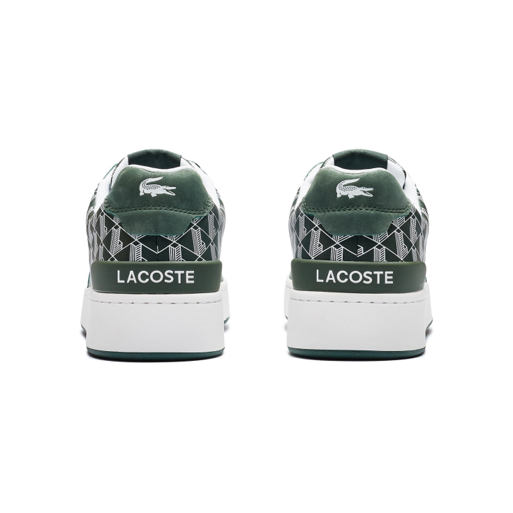 Lacoste kişi kedləri