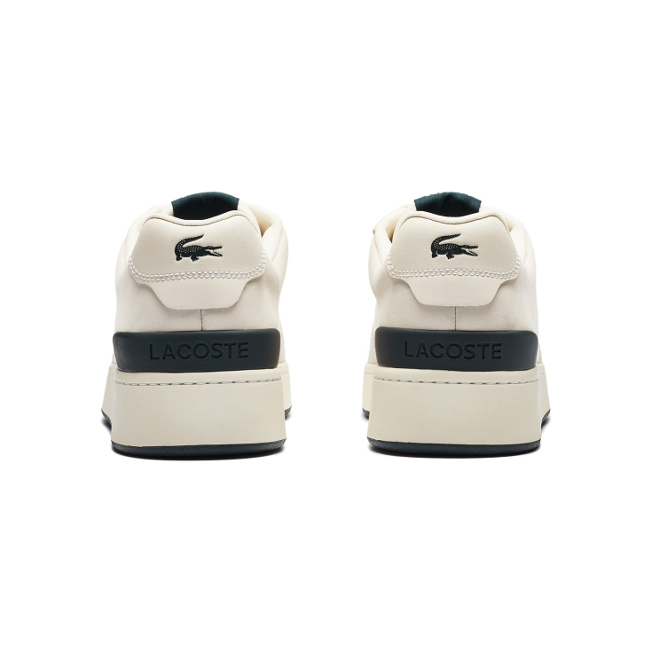 Lacoste kişi kedləri