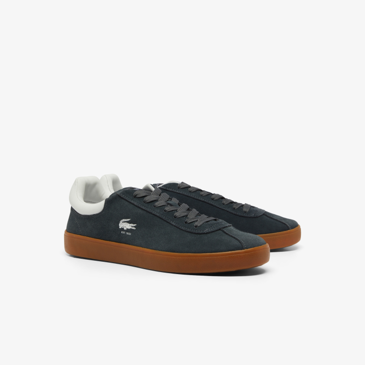 Lacoste kişi kedləri