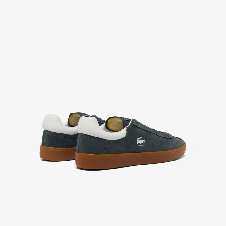 Lacoste kişi kedləri