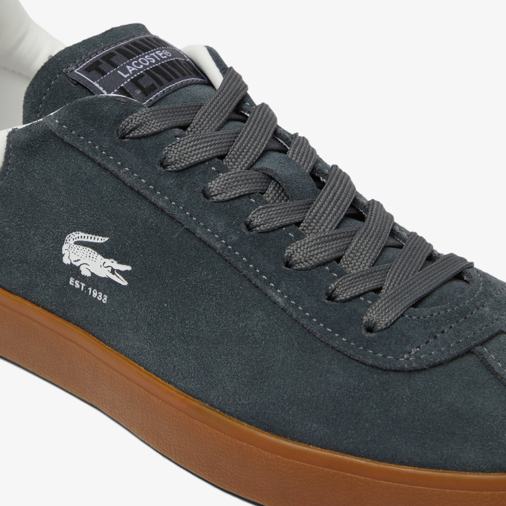 Lacoste kişi kedləri