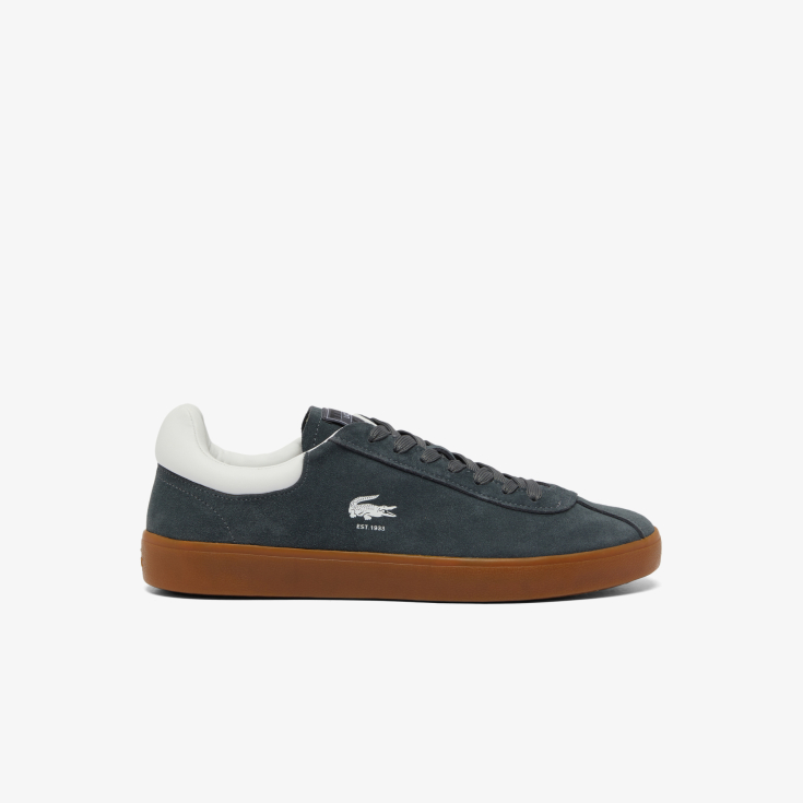 Lacoste kişi kedləri