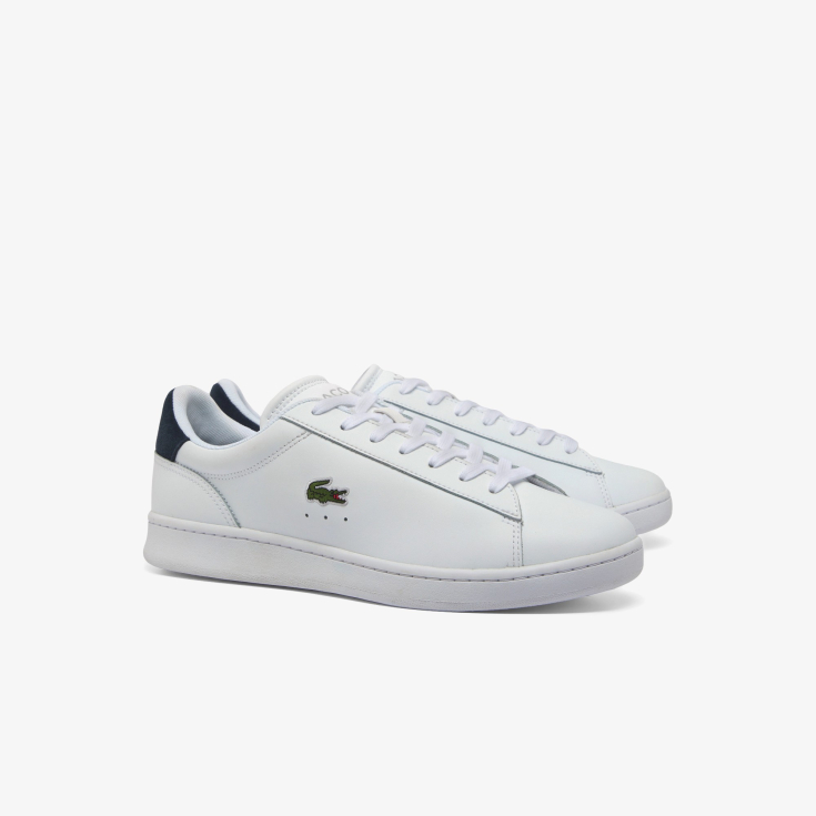 Lacoste kişi kedləri