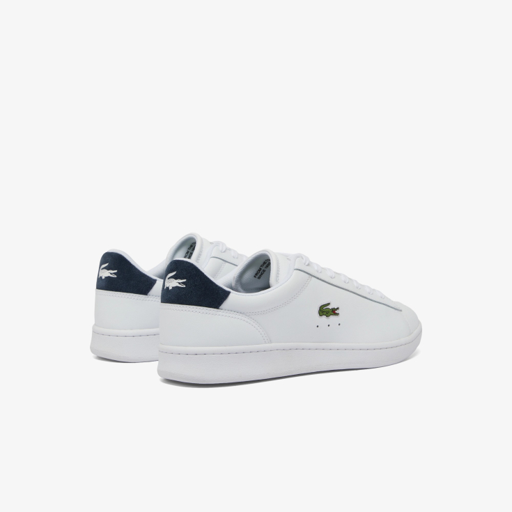 Lacoste kişi kedləri