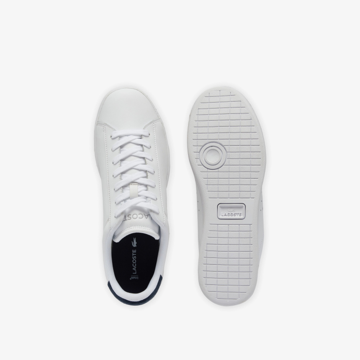Lacoste kişi kedləri