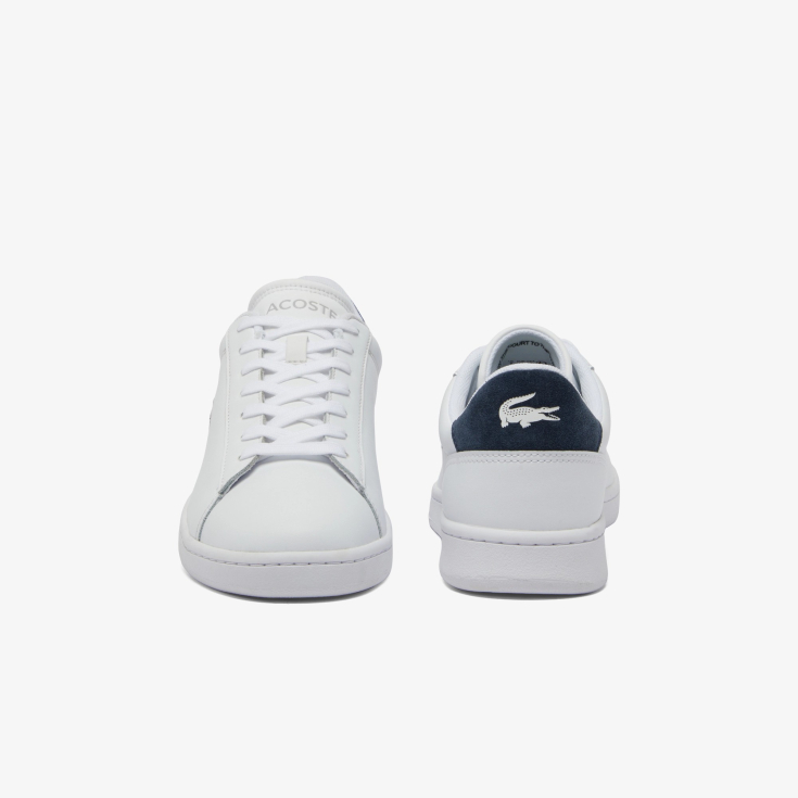 Lacoste kişi kedləri