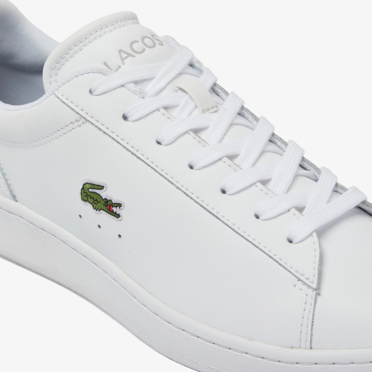 Lacoste kişi kedləri