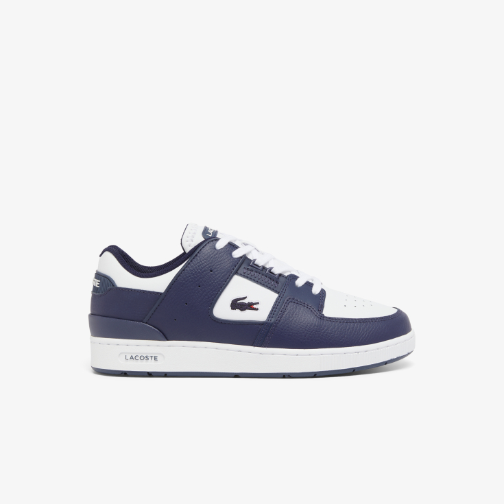 Lacoste kişi kedləri