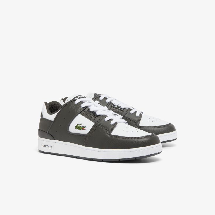 Lacoste kişi kedləri