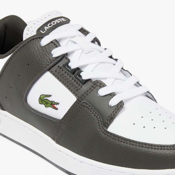 Lacoste kişi kedləri