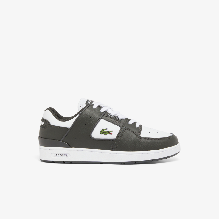 Lacoste kişi kedləri