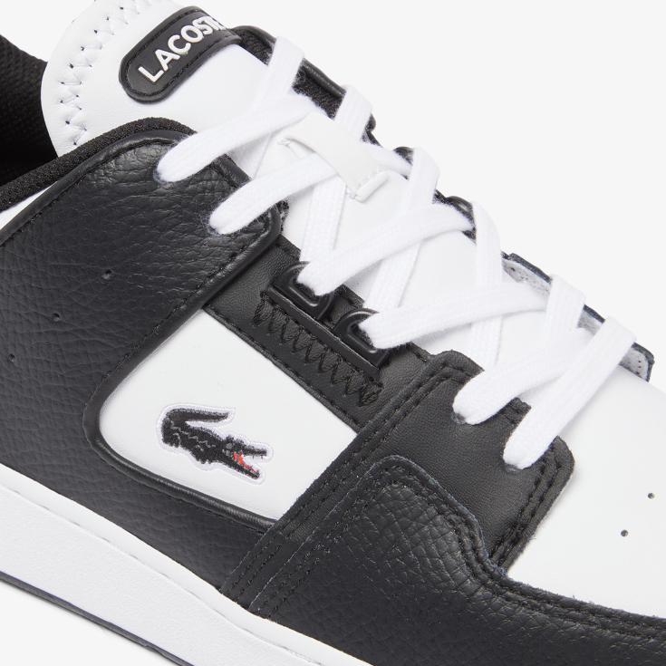 Lacoste kişi kedləri