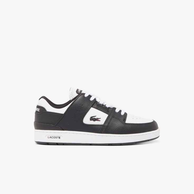 Lacoste kişi kedləri