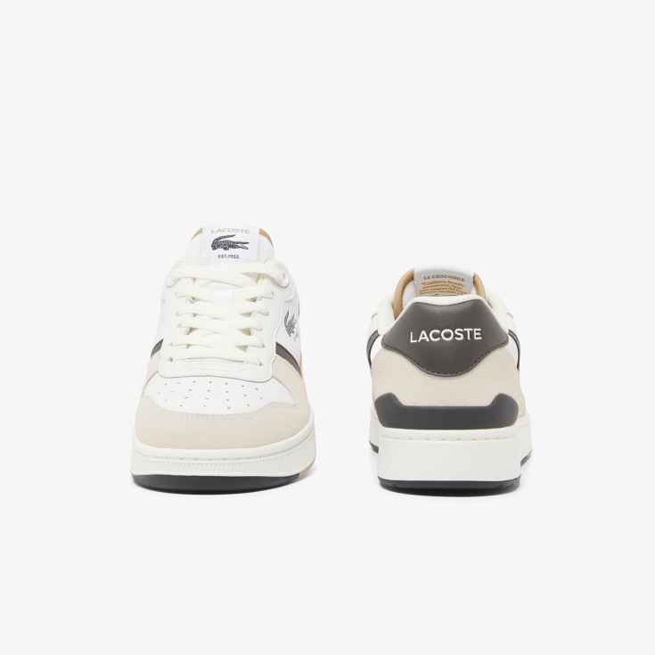 Lacoste kişi kedləri