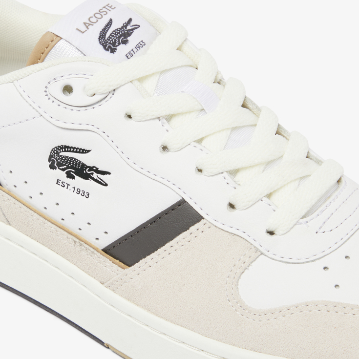 Lacoste kişi kedləri