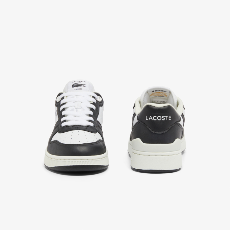 Lacoste kişi kedləri