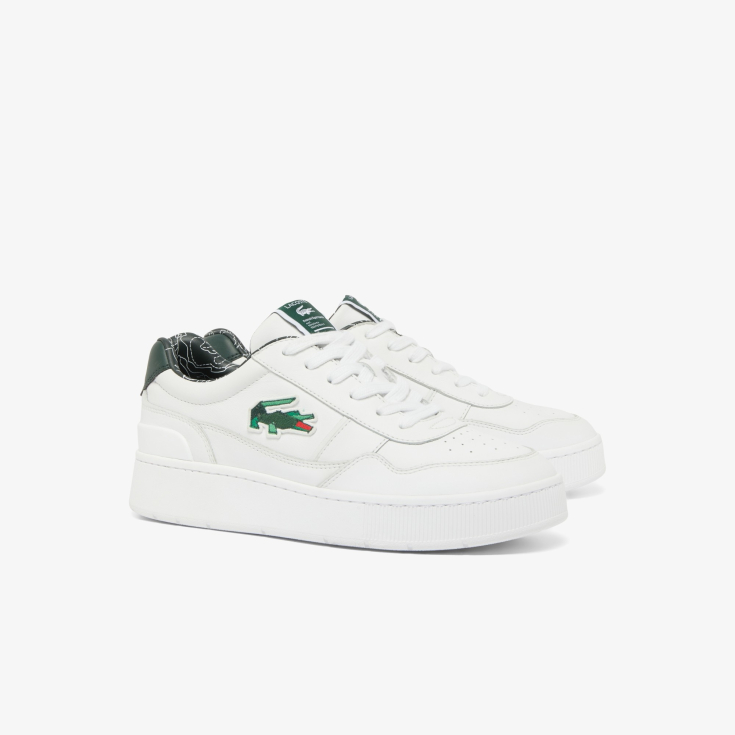 Lacoste kişi kedləri