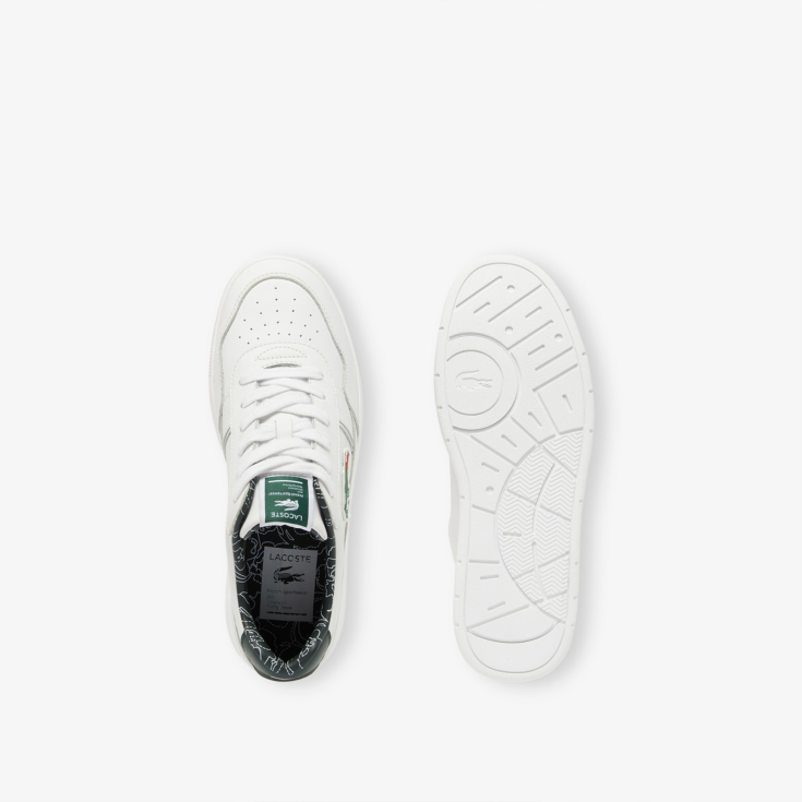 Lacoste kişi kedləri