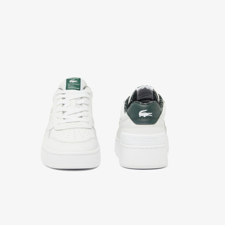 Lacoste kişi kedləri