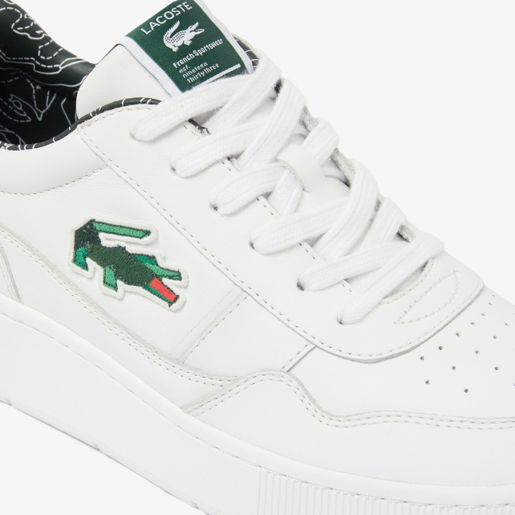 Lacoste kişi kedləri