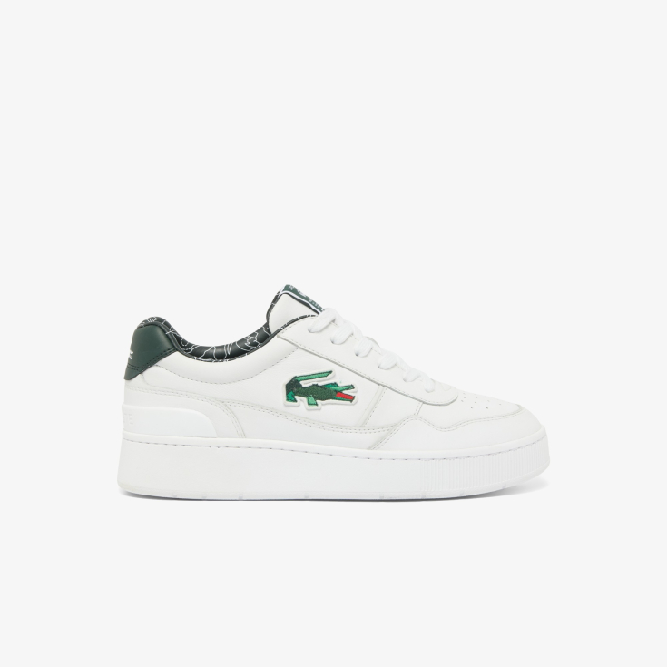 Lacoste kişi kedləri