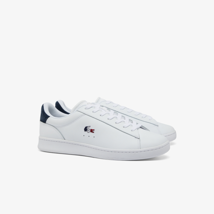 Lacoste kişi kedləri