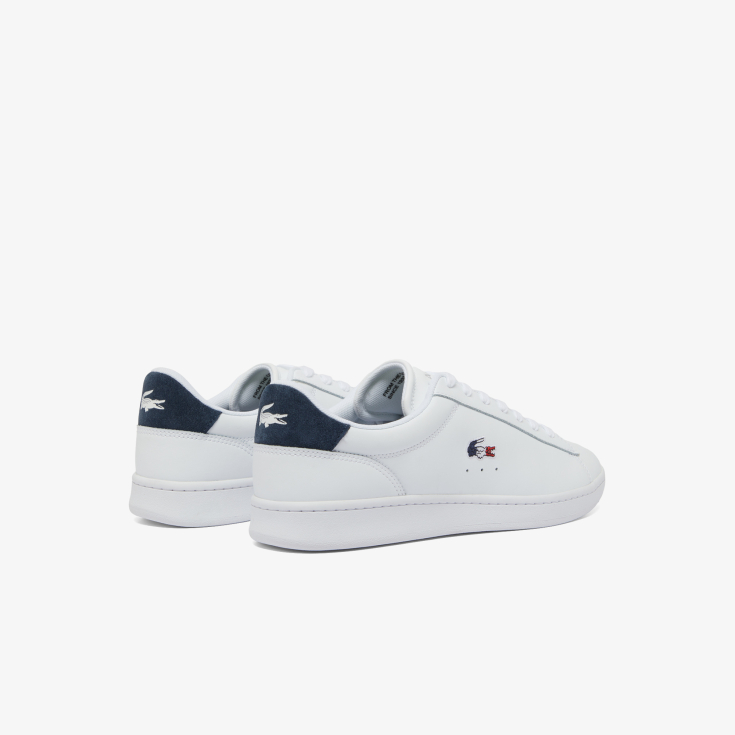 Lacoste kişi kedləri