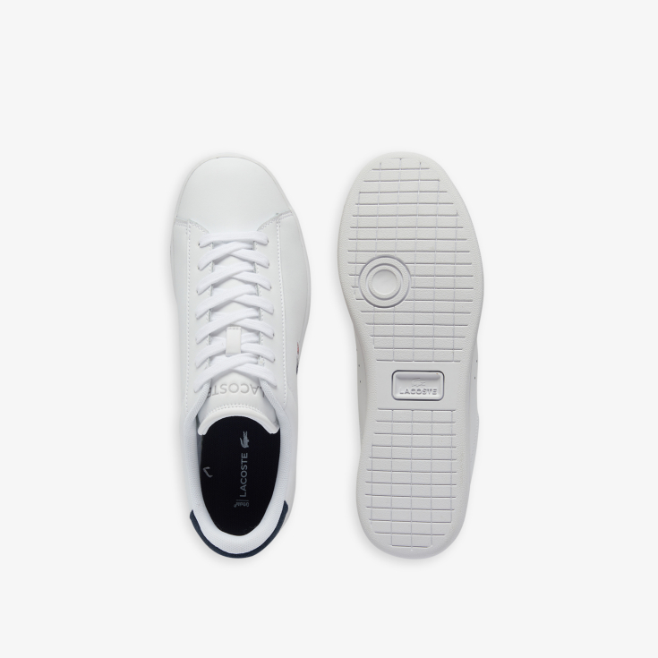 Lacoste kişi kedləri