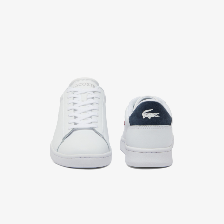 Lacoste kişi kedləri