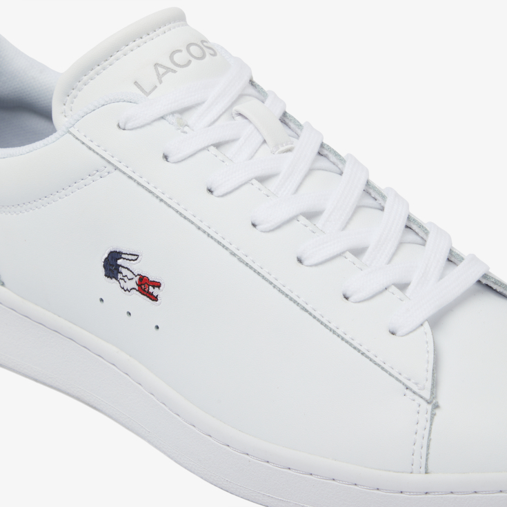 Lacoste kişi kedləri