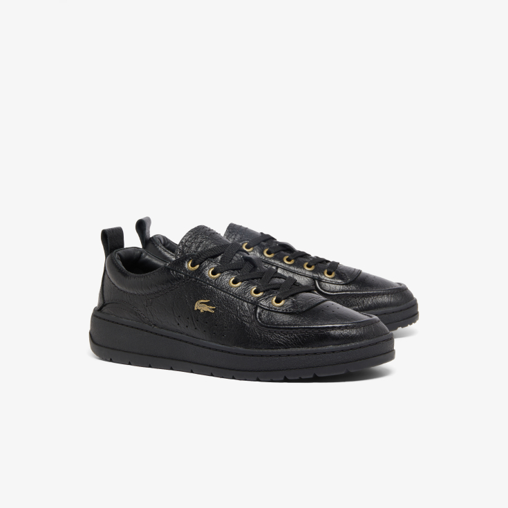 Lacoste kişi kedləri