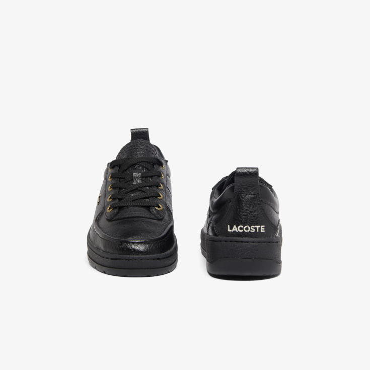 Lacoste kişi kedləri