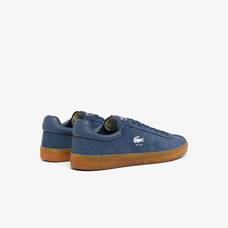Lacoste kişi kedləri