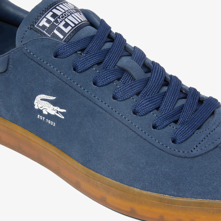 Lacoste kişi kedləri