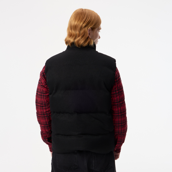 Мужская куртка Lacoste